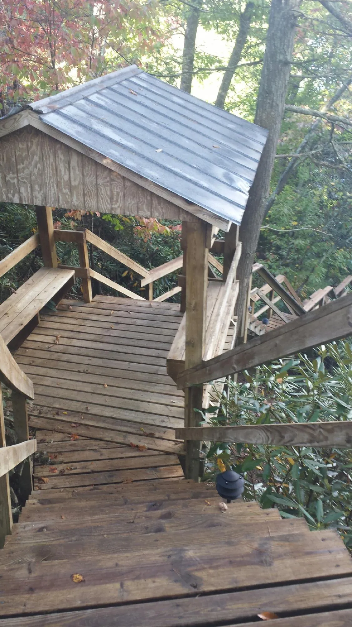 Metal roofed shelter over wooden steps on a wooded walkway — Skylight Repair & Installation work by our crew in Verndale
