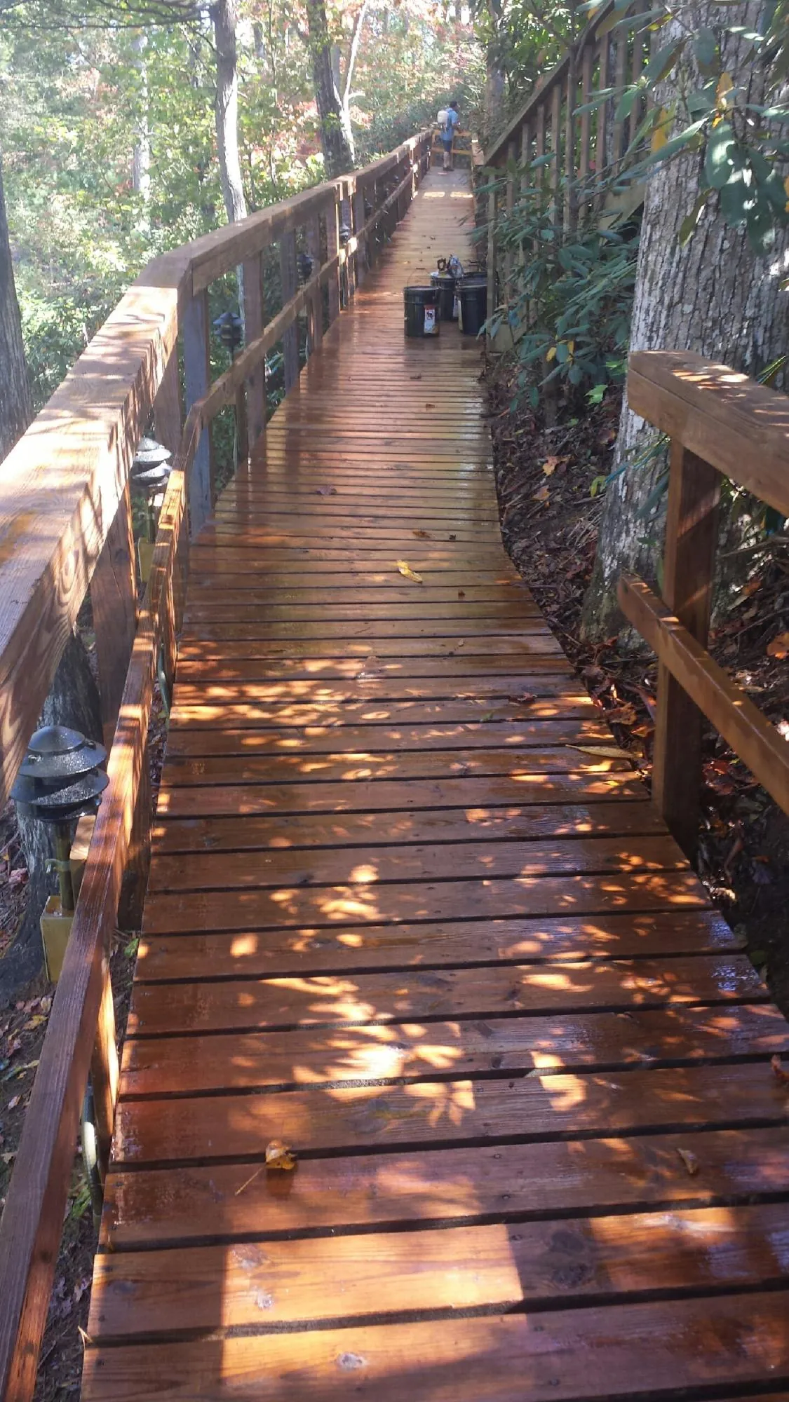 Freshly stained wood walkway winding through the woods in Verndale